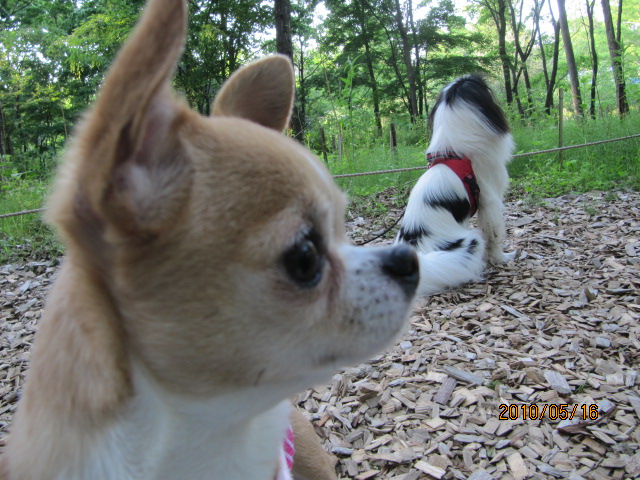 c0200916_215151.jpg