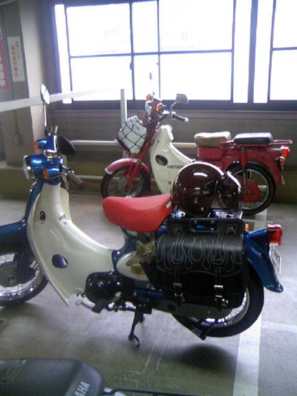 c0083518_1553959.jpg