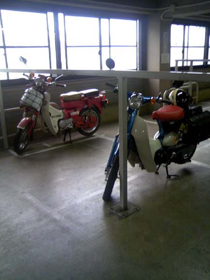 c0083518_1554795.jpg