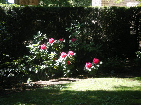 c0124619_14202972.jpg