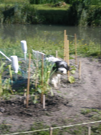 c0124619_613779.jpg
