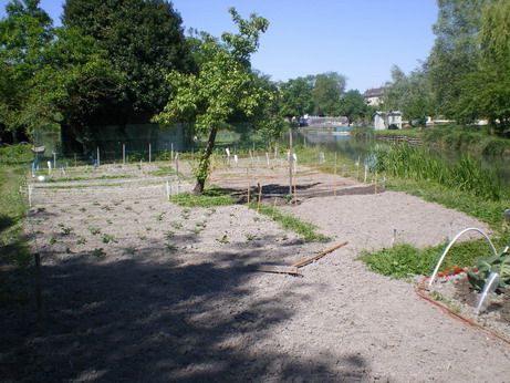 c0124619_632668.jpg