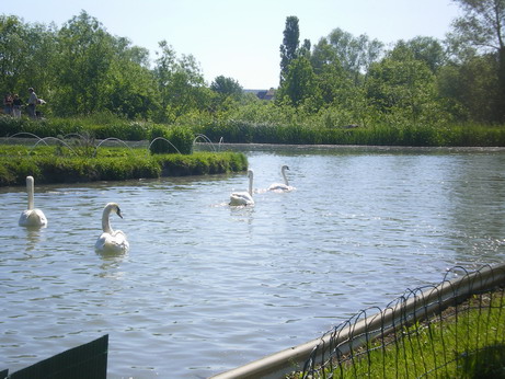 c0124619_692839.jpg