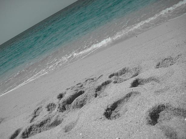 c0177527_2134297.jpg