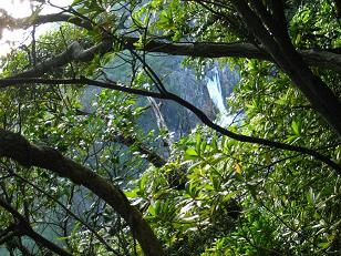 c0177527_21532458.jpg