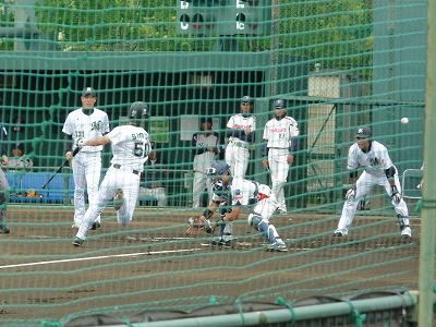 5月19日 イースタン ロッテ対ヤクルト_b0166128_894361.jpg
