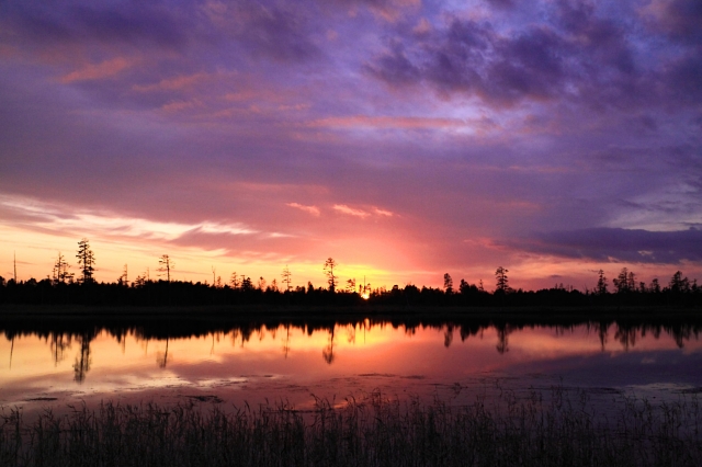 f0053130_22421063.jpg