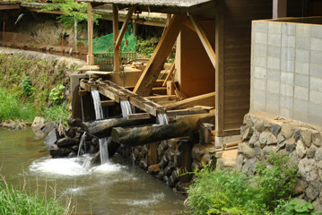 大分県へ（その2）_c0215933_1448365.jpg