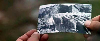 f0147840_23412929.jpg