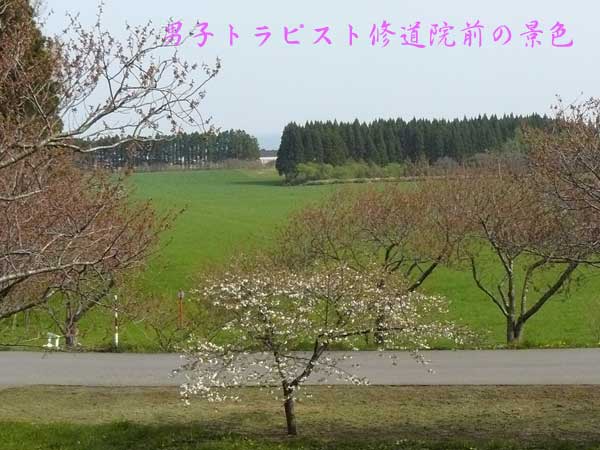 f0154940_8213385.jpg
