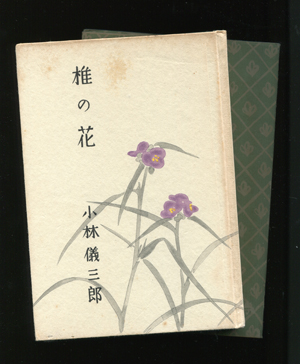 椎の花 Daily Sumus 椎の花 Daily Sumus