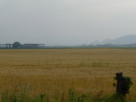 c0221349_012746.jpg