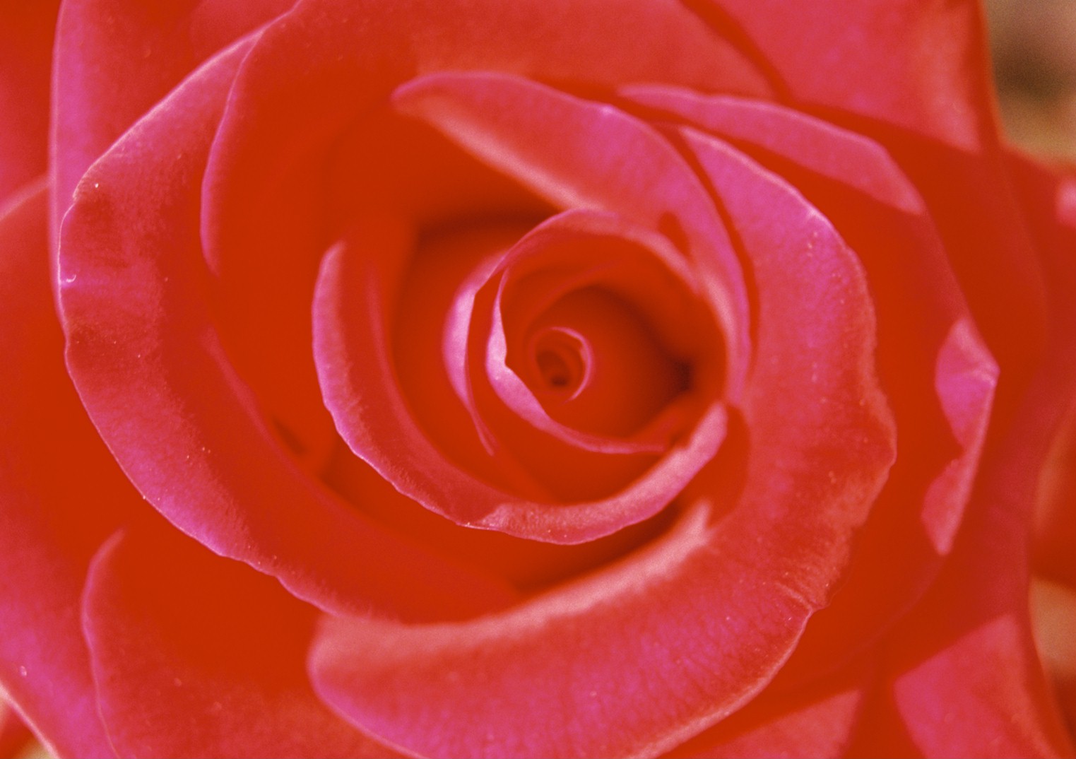 f0209159_23282046.jpg