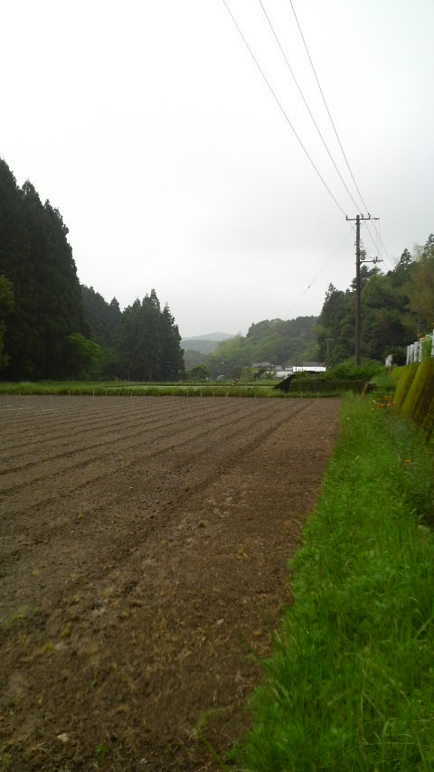 c0147261_21552067.jpg