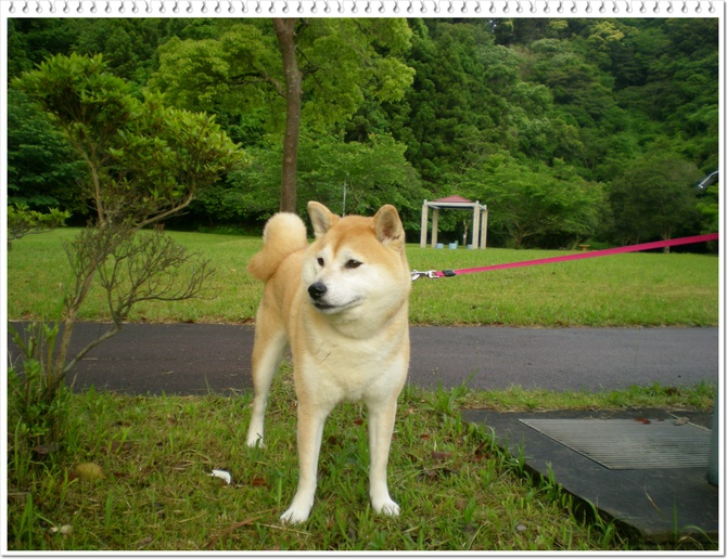 2010年5月21日(金)ドリームガールズ!_f0060461_8264868.jpg