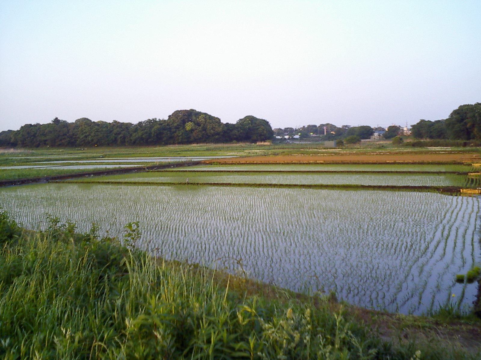 b0155973_2239239.jpg