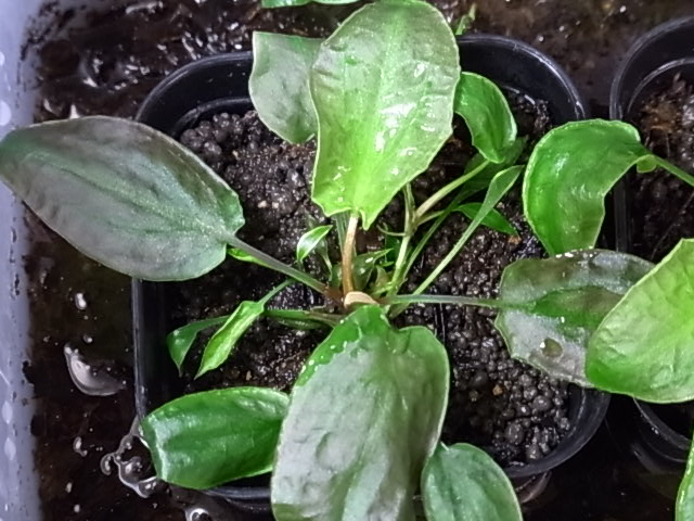 a0067578_22304489.jpg