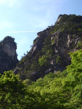 b0177078_8494463.jpg