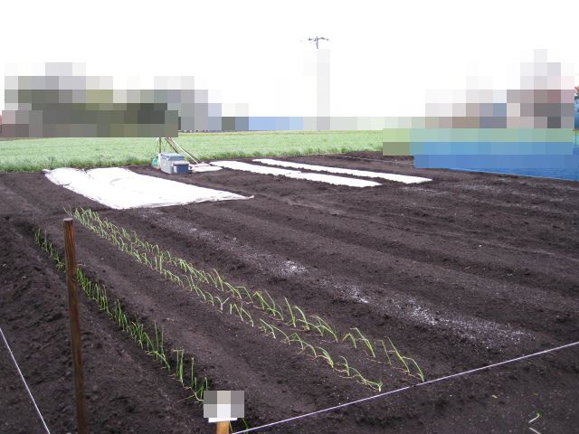 a0008185_85558.jpg