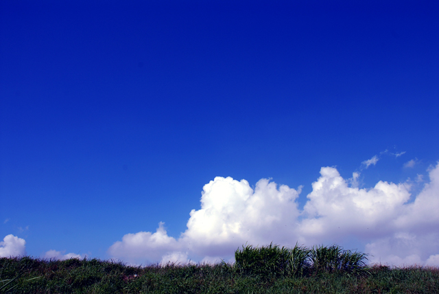 d0085887_2023503.jpg