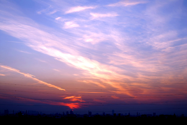 d0085887_20241080.jpg