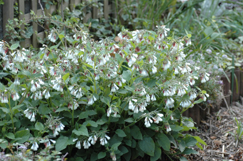 c0026690_21294239.jpg