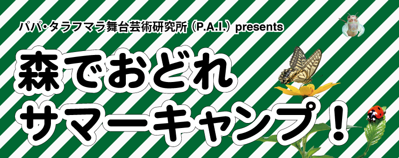 今年も開催!「森でおどれサマーキャンプ!2010」_f0140395_1313887.jpg