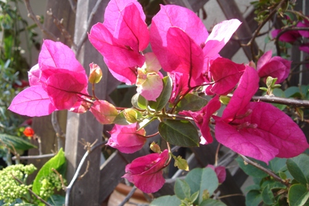e0143298_22204759.jpg