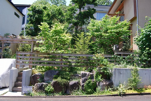 5月の庭…_c0124100_0183037.jpg