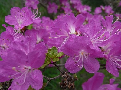 f0187402_17214840.jpg
