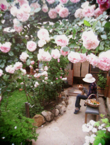 d0077603_9513974.jpg
