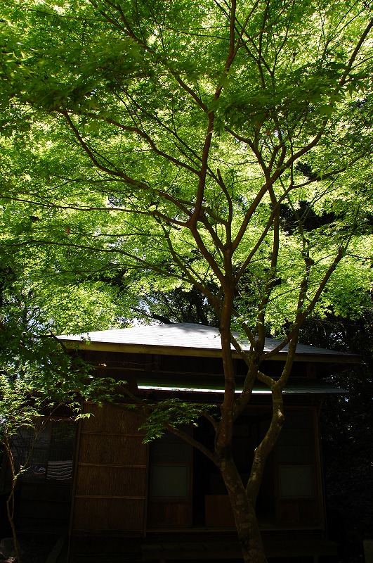 a0092804_082027.jpg