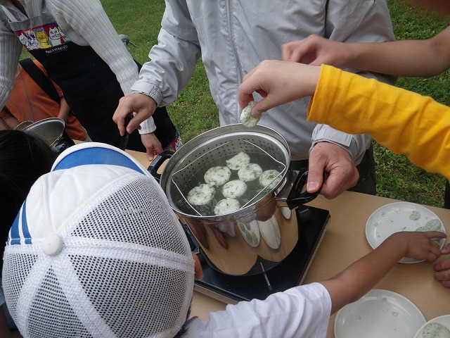 すみればの野草探し_b0049307_10214396.jpg