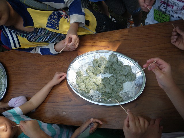 すみればの野草探し_b0049307_10214941.jpg