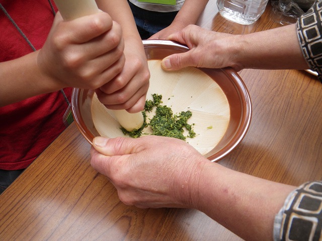 すみればの野草探し_b0049307_19144263.jpg