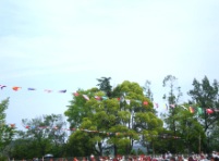 a0090208_20412374.jpg