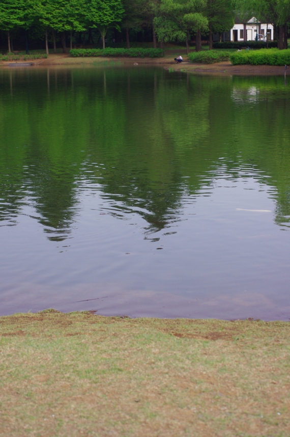 c0156908_1092143.jpg