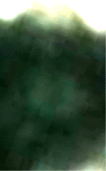 e0103408_1238975.gif