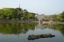 f0221708_22184498.jpg