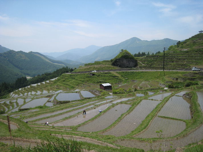 丸山千枚田と湯ノ口温泉へドライブ　　　　　　　2010　５月２２日_d0154609_19251949.jpg