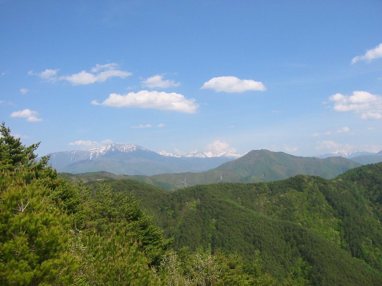a0109912_91594.jpg