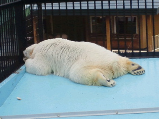 a0151913_174397.jpg