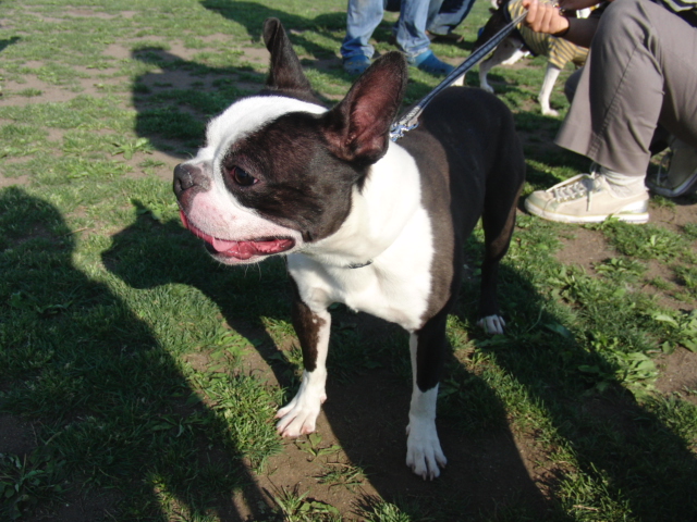 c0220715_14392.jpg