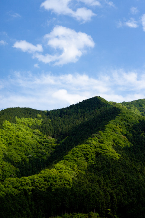 鳩ノ巣の眺め_e0051018_14121489.jpg