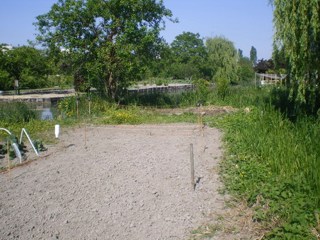 c0124619_6133074.jpg