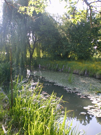 c0124619_613697.jpg