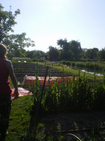 c0124619_6143312.jpg