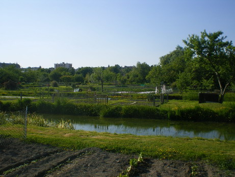 c0124619_6154081.jpg