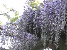 b0147224_21361926.jpg