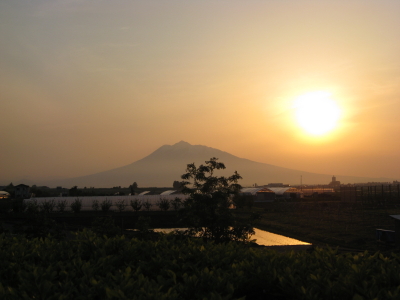b0147224_21372614.jpg